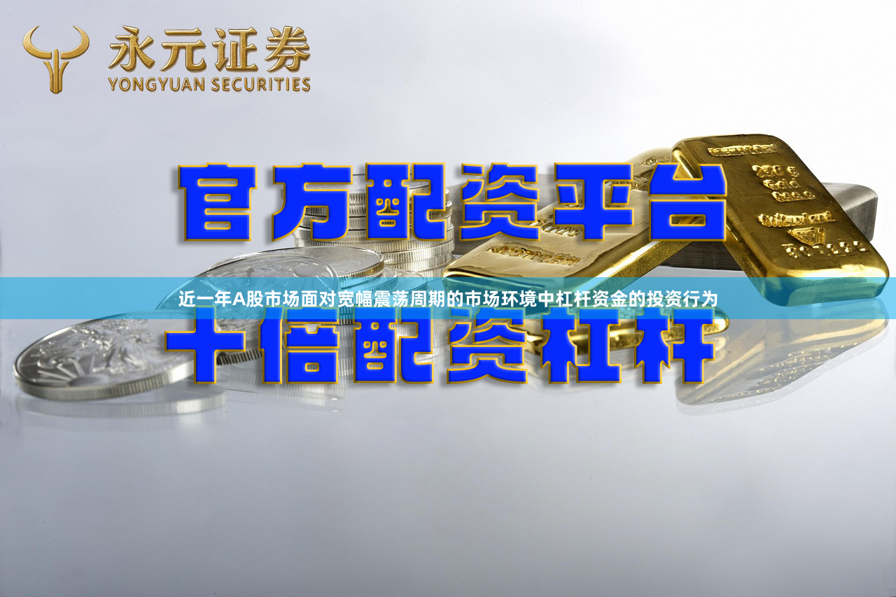 近一年A股市场面对宽幅震荡周期的市场环境中杠杆资金的投资行为